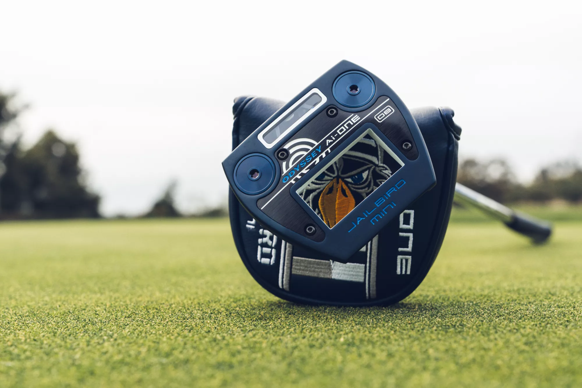 Putter Head – View 1